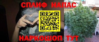 дживик Жуковский