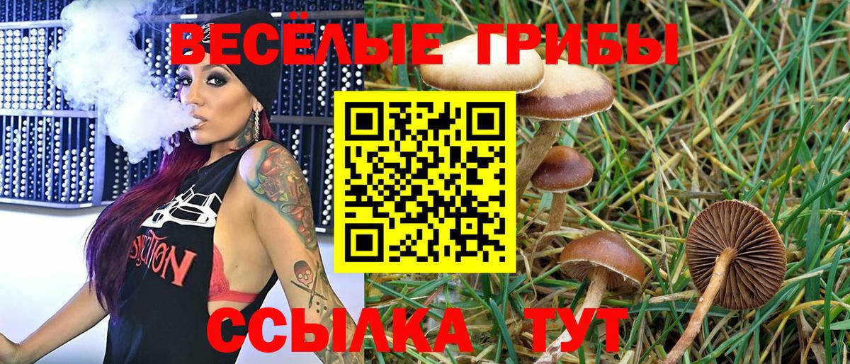 Галлюциногенные грибы Cubensis Менделеевск